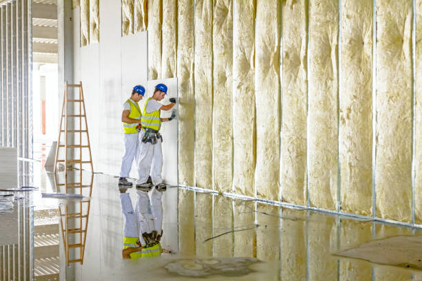 Insulation Replacement Services in Edgewater, NJ